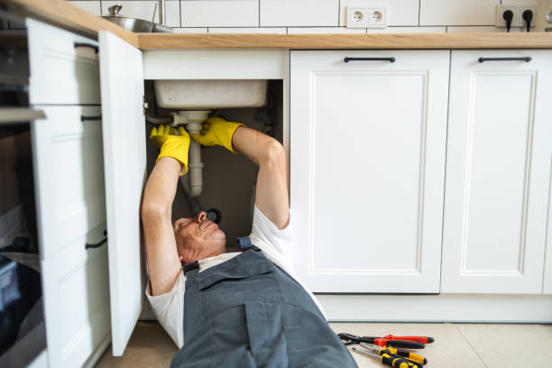 Best Local Plumber Services  in Martha Lake, WA